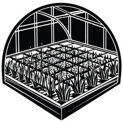 Vector hydroponic rice fields growing in