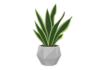 Indoor Snake Plant in Grey Pot.