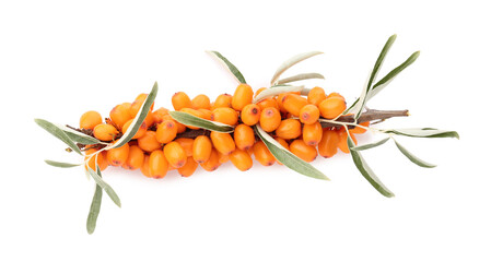 Fresh sea buckthorn berries with green leaves isolated on white, top view