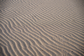 Wind-sculpted ripples form elegant, wavy patterns across a smooth sand surface in a tranquil natural setting.
