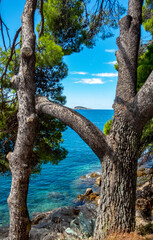 Cavtat, Croacia, mar Adriático. 