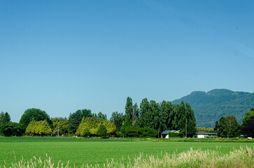 Agricultural farms in Chilliwack, Fraser Valley, BC, Canada