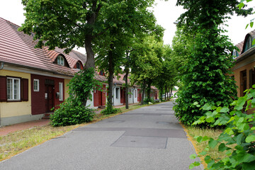 Tree-lined street in Gartenstadt Plaue, Germany, featuring charming row houses with pitched roofs and arched dormers from 1916. The houses display a mix of red and beige facades, with wooden shutters