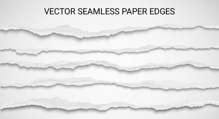 Fototapeta premium seamless torn paper edges, vector illustration