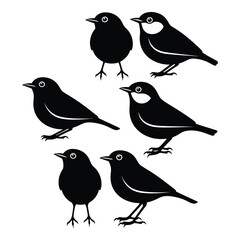 Collection of five stylized black silhouette birds with white accents perched and standing silhouette