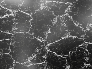 Black marble with contrasting white veins, providing a dramatic and sophisticated background.
