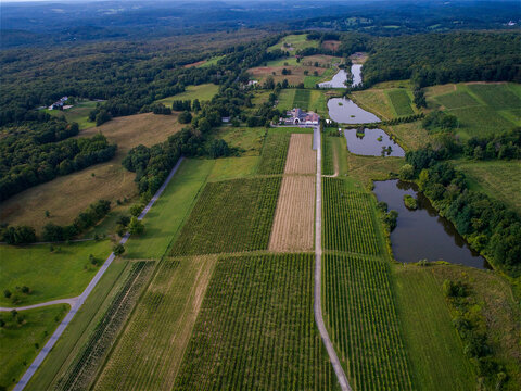 Aerial view of patterned fields meet dense forests and tranquil ponds under a vast sky, Hudson, New York, United States.