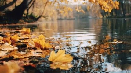 秋の葉が水面に浮かぶ穏やかな光景