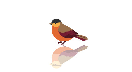 Fototapeta premium Colorful finch with reflection on white background in minimalist style