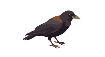 Obraz premium Stylized flat design crow on white background