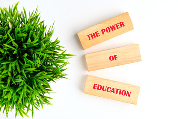 Business and Words Matter concept. Copy space. THE POWER OF EDUCATION made of wooden blocks on white background with green plant, top view