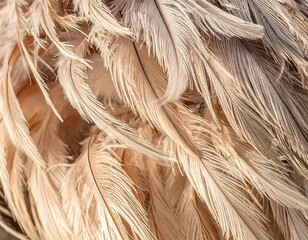 Close-up view of bird feathers