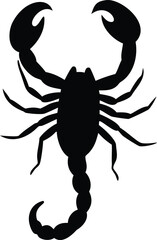 a black scorpion with a long tail  the tail is cur.eps