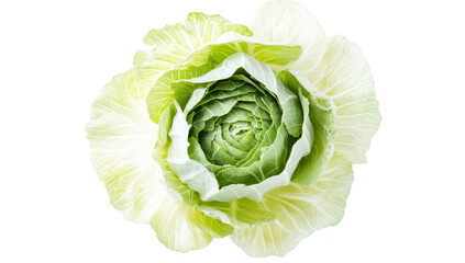 Obraz premium A fresh. green cabbage with tightly packed leaves. its natural beauty and texture against a clean white background. ideal for culinary or health-related visuals