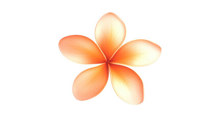 Fototapeta premium A orange and white plumeria flower elegantly displayed against a clean white background. symbolizing beauty and tranquility. ideal for nature-themed design or wellness content