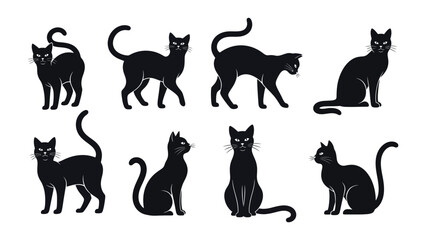 Black Cat Collection: A set of sophisticated black cat silhouettes, offering versatile design elements for any project needs, each one captures a moment in cat life. 