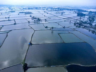 Flooded rice paddies from an aerial perspective creating geometric patterns.  The Muhuri Project is Bangladesh's second-largest irrigation project. Aerial View of Farm Ponds and Coastal Landscape