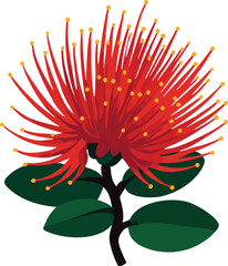 Red pohutukawa bloom with green leaves and stem