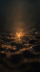 黄金色の光が灯る芽のクローズアップ