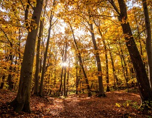 Golden autumn forest path