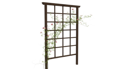 Garden trellis with climbing roses isolated PNG with Transparent Background