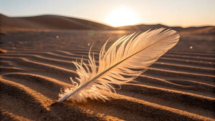 Feather Resting on Rippled Sand Dunes at Sunset white feather desert