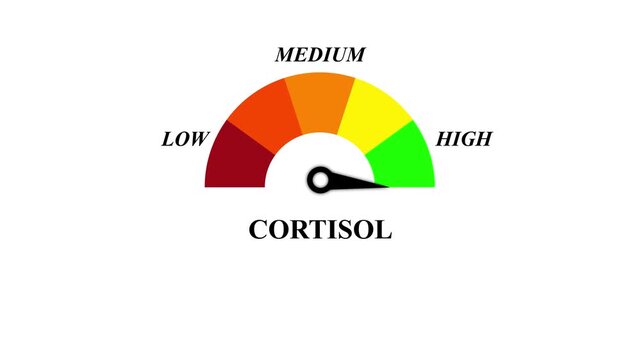 Animated digital gauge displays cortisol level, ranging from safe low to critical high.Cortisol Level Gauge Animation from Low to High, Stress Indicator Meter animation.4k video