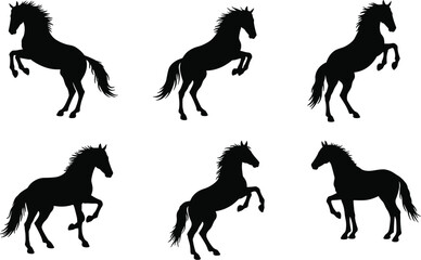 Dynamic black horse silhouettes in rearing poses, powerful vector illustration for wildlife, ranch, farm, animal design, strength, freedom themes