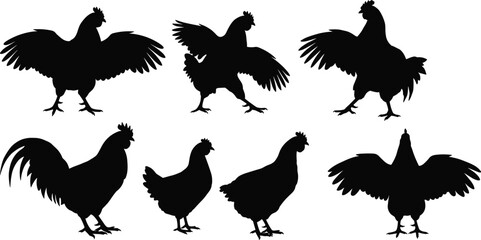 Collection of chicken silhouettes in standing and wing spread poses, farm poultry vector illustration showing animal behavior, posture, and agriculture design © Asad Creative