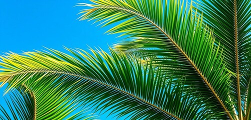 Obraz premium Lush green palm fronds against a vibrant blue sky, palms, palm leaf