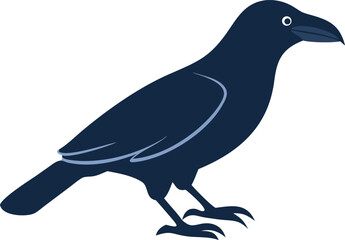 crow bird with white background