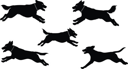 Running dog silhouette vector set showing leaping, jumping, sprinting, playful pets in motion, dynamic animal poses, black design illustration
