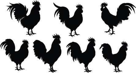 Set of rooster silhouettes in various poses with detailed tail feathers, comb styles, and body postures for farm animal design