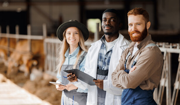 Portrait team worker of modern farm livestock. Veterinarian doctor, farmer and owner together on background cowshed