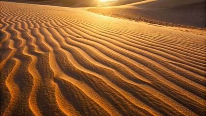 Rippling Sand Dunes at Sunset desert landscape