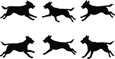 Vector illustration of multiple dog breeds with ball, playful pet activity, domestic animals, canine friendship, training, exercise, companionship, lifestyle design