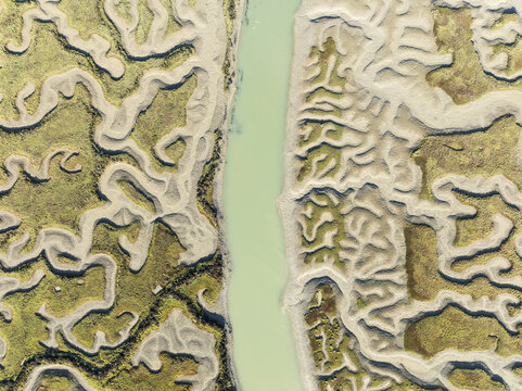 Aerial view of sun-baked tidal flats etched by winding waterways, revealing an abstract tapestry of earth tones and verdant patches, Bay of C&Atilde;&iexcl;diz, C&Atilde;&iexcl;diz province, Andalusia, Spain.