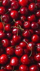 Close-up view of many bright red cherries