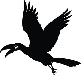 flying hornbill bird silhouette 