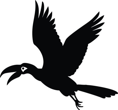 flying hornbill bird silhouette 