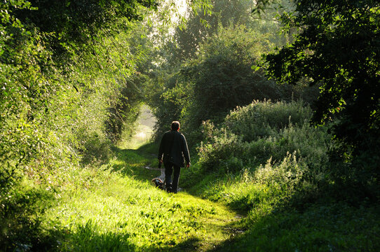 A person walking on a path in the distance