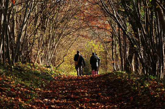 People walking on a Nature Reserve at autumn
