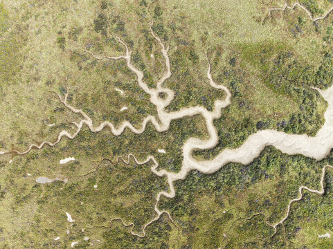 Aerial view of winding waterways carving through the earth, creating a sinuous dance of light and shadow across the landscape, Bay of C&Atilde;&iexcl;diz, C&Atilde;&iexcl;diz province, Andalusia, Spain.