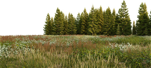 3D render panorama view of grasslands and pine forest on a transparent background
