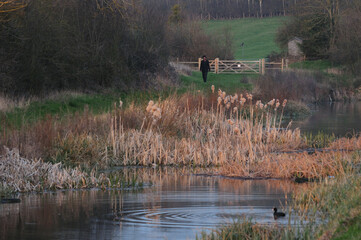People walking outdoors in spring