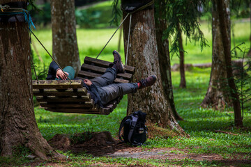Hammock hanging between trees in the forest