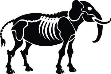 Fototapeta premium skeleton of elephant animal silhouette