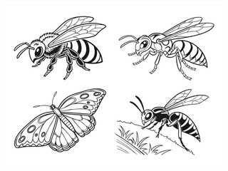 coloring page line art the butterfly black vector bundle