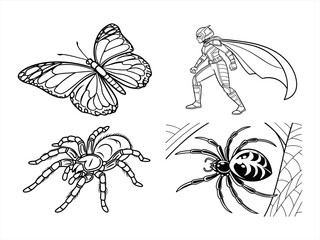 coloring page line art the butterfly black vector bundle