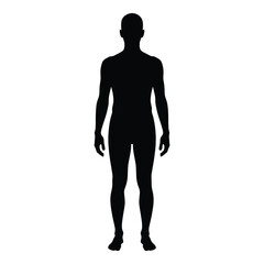 Human body silhouette full body standing profile male anatomy medical science graphic silhouette